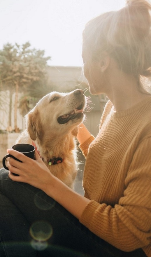 Worms in Dogs Symptoms Of Worms In Dogs NexGard®